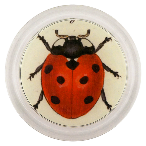Red Ladybug