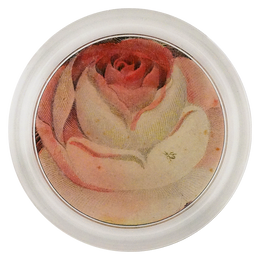 Rose with Ant
