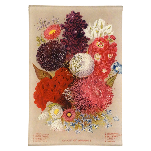 Annuals