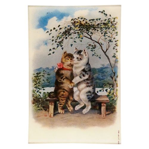 Cat Lovers