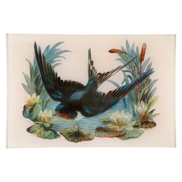 Swallow Over Pond