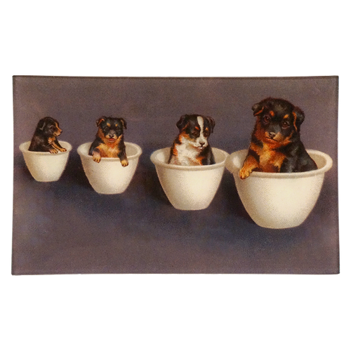 Pet Bowls