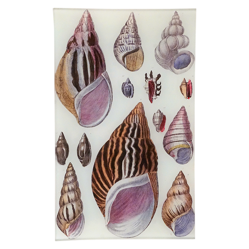 Agate Shells