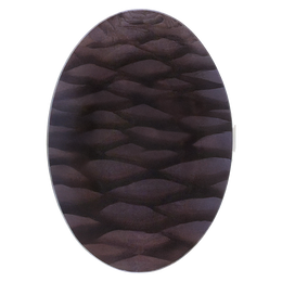 A seven inch by ten inch oval glass plate with a dark brown textured wood-grain pattern.