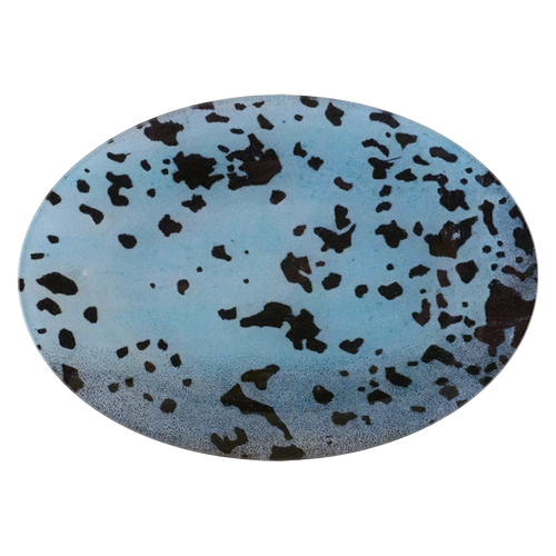 A seven inch by ten inch horizontal oval glass plate featuring a light blue background with a scattered pattern of dark brown and black organic spots representing a close up of an egg.