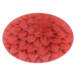 A seven inch by ten inch horizontal glass plate of a close up image of a red flower. 