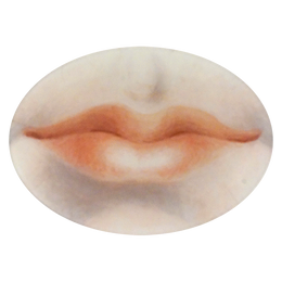 A seven inch by ten inch horizontal glass plate featuring a close up illustration of lips. 