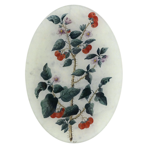 A seven inch by ten inch vertical oval glass plate featuring botanical artwork showing a flowering branch with dark green leaves, red berries, and small pale purple blossoms on an off-white background.