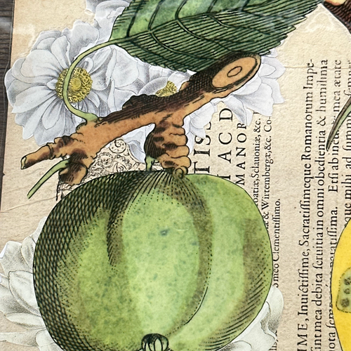 One of a Kind Collaged Pear Mat (2-09)