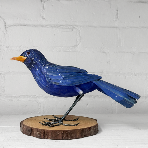Papier-Mâché Whistling Thrush Bird #46