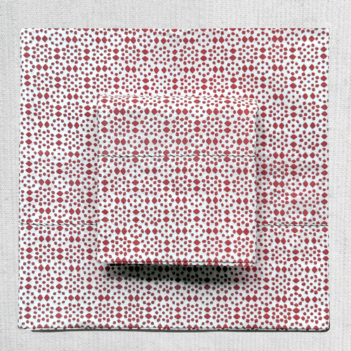Rasa Block Printed Sheet Set in White Nakashi & Madder