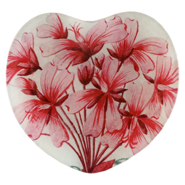 Geranium Zonale