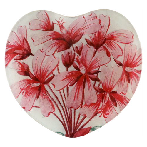 Geranium Zonale