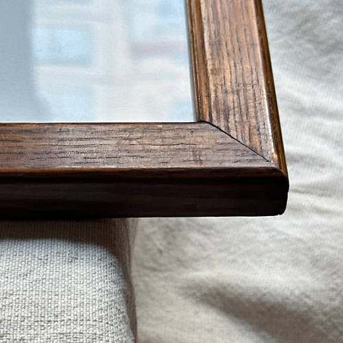 "Brain" in a Vintage Frame