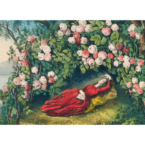 The Bower of Roses