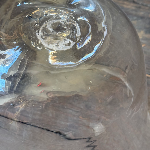 Large 19th-century French Glass Cloche de Melon (LG-09)
