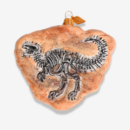 Dinosaur Fossil Ornament