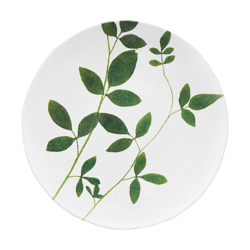 Drachocephalum Plate