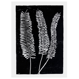 Fern 2