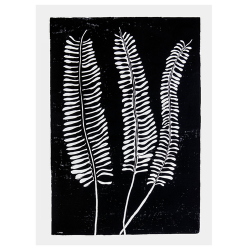 Fern 2
