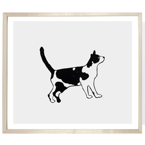 Black & White Cat with Tail Up