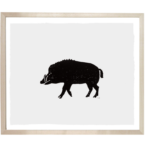 Boar