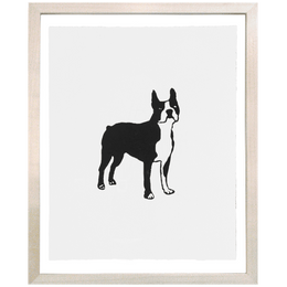 Boxer Dog