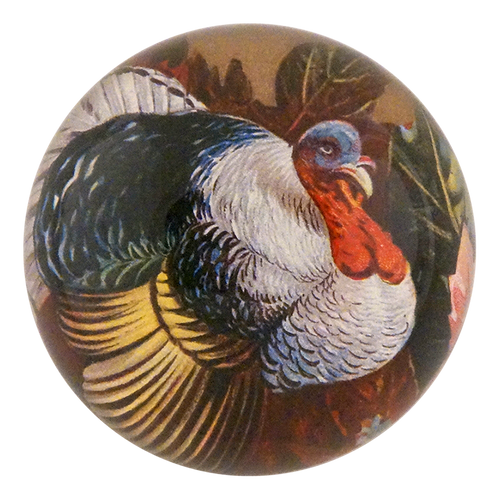A Happy Thanksgiving