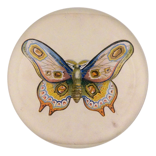 Butterfly Ad