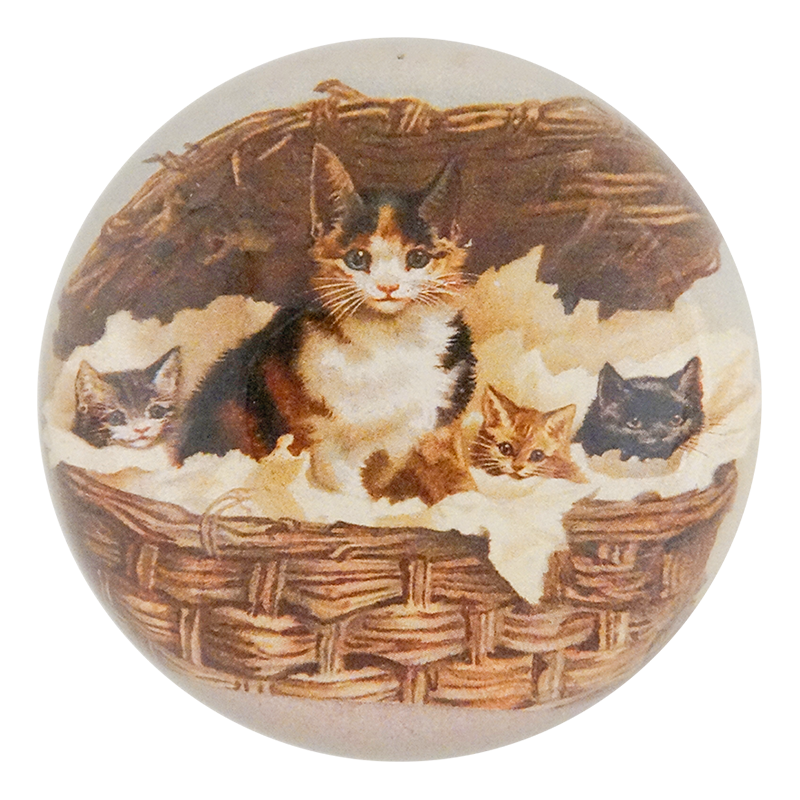 Cat Basket