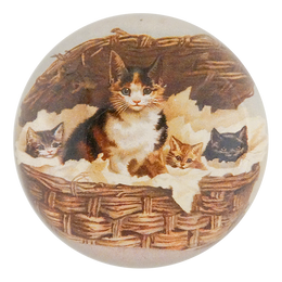 Cat Basket