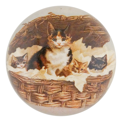 Cat Basket