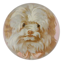 Dog Cut Out