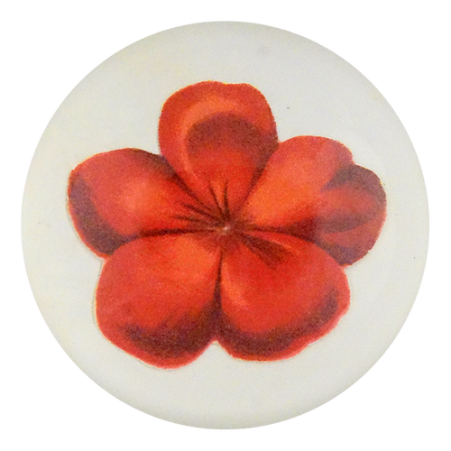 Geranium Fleuret 1