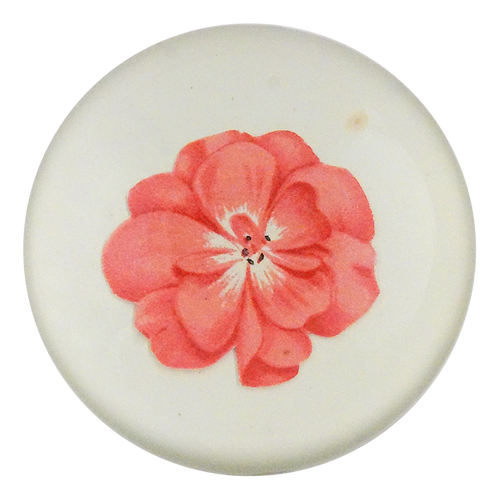 Geranium Fleuret 2