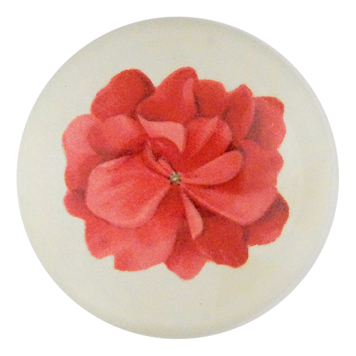 Geranium Fleuret 3