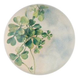 Killarney Clovers