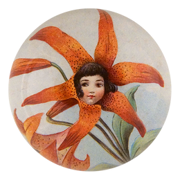 Tiger Lily