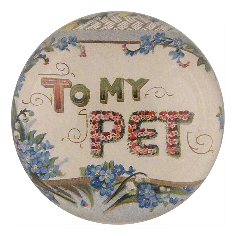 To My Pet