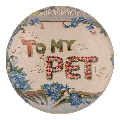 To My Pet