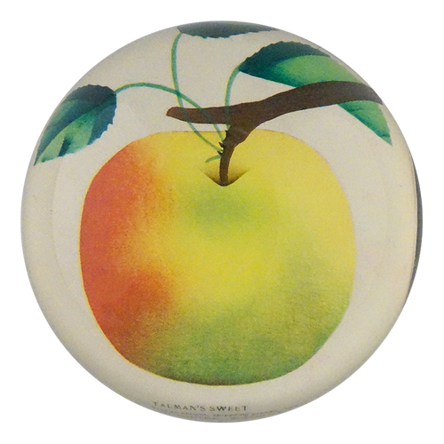 Talman's Sweet Apple