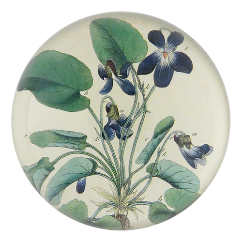 Violets