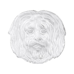 Dog Dish