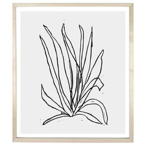 Desert Plant