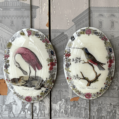 Harlequin Hummingbird with Flowers (Convex)