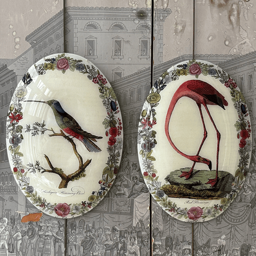 Flamingo with Flowers (Convex)
