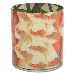 Foxglove