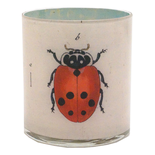 Ladybugs