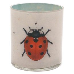 Ladybugs