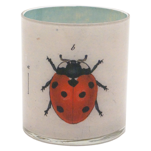 Ladybugs